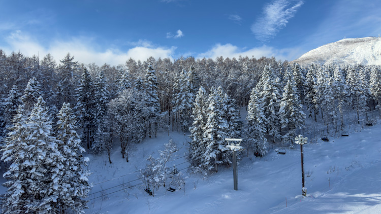 お正月のニセコ